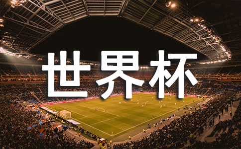 ���������籭����