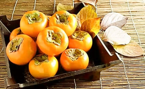 �Ұ�������������ľ�����10ƪ��