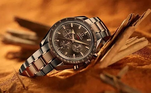 �����ţ��ҵ����ֱ�����11ƪ