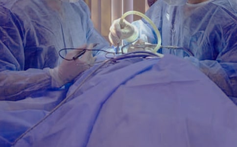 (��)����������15ƪ