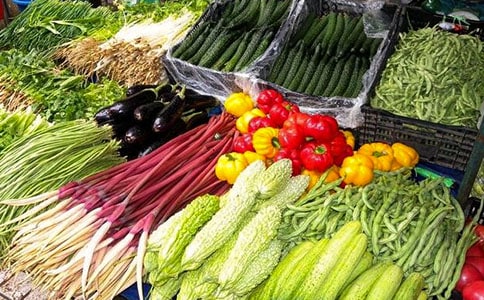 小班美术教案:《蔬菜印画》9篇