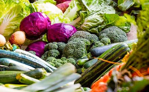 ���߲˲�ҵ����������б���