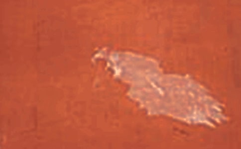 ��ķ�������ռǵڶ��£�����ˢǽ ս���Ի�