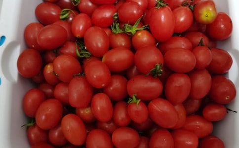 �ܽ�θ�����˳Ե�ˮ��