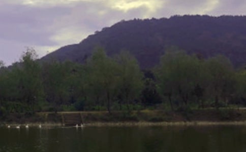 �������ۡ�ˮ������