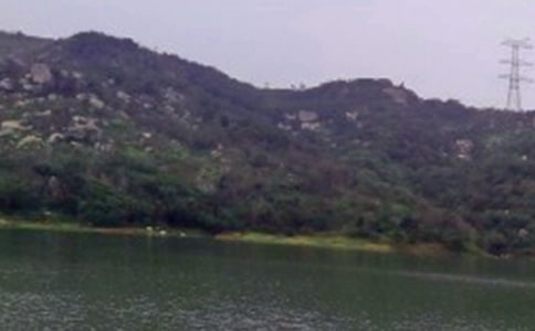 �β̼���ˮ������