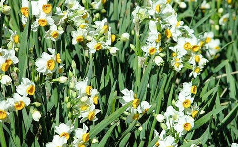 [��]ˮ�ɻ�����