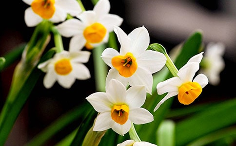 [�ر�]ˮ�ɻ�����