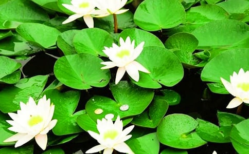 �߶�˯������ѧ��д��