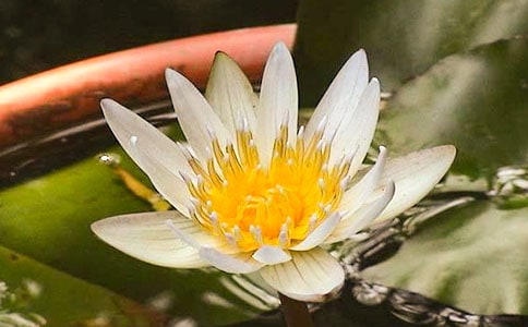 ��д˯������������