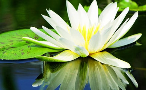 �����˯���ٲ�1300���ܼ�