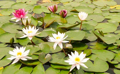 ˯�������ġ����䡿