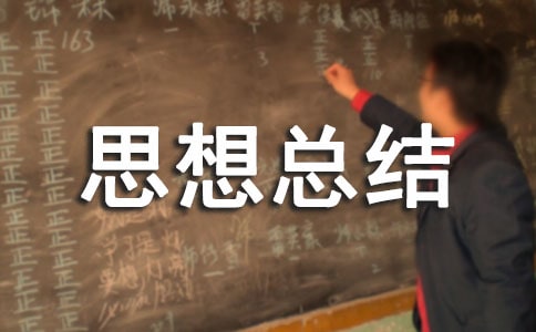 个人政治思想总结通用