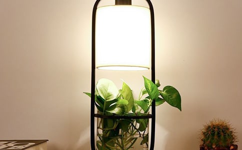 �۲�С̨���ռ�350��