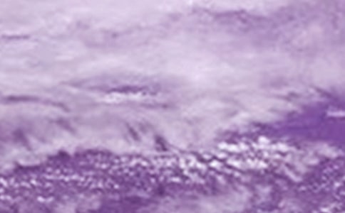 ��̨���Ӧ��Ԥ��