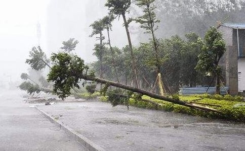 仓库防台风应急预案(精选8篇)