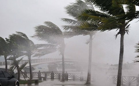 ���̲���̨���Ӧ��Ԥ��