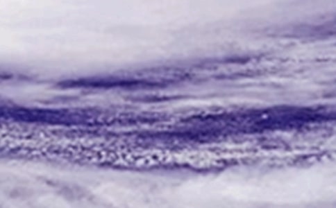 防台风应急预案通用