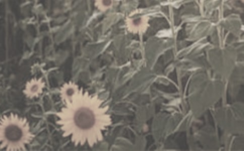 ��ǿ������̫�����ռ�����