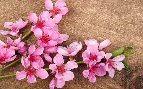 ��д�һ�����