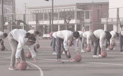 ����������ѧ�ƻ�����ѡ10ƪ��