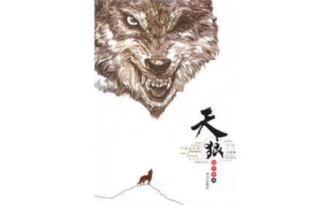 ���Ƕ���ʼ�