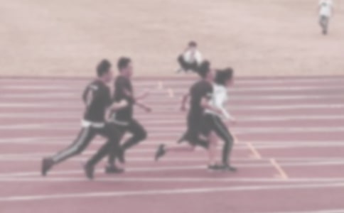 �ﾶѵ���ƻ�����