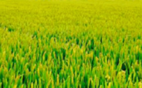 ���յ���Ұ�������㣨7ƪ��