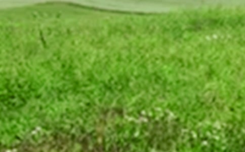 �ļ�����Ұ����(��ѡ)