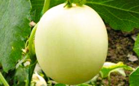 ��ϴ�����ֲ��������