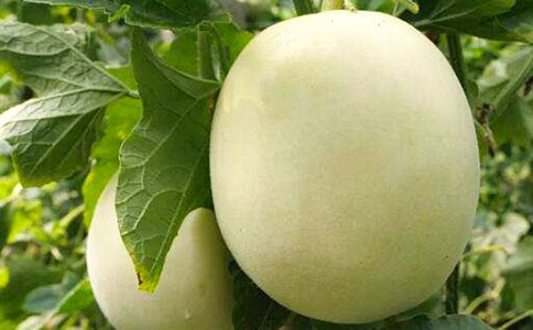 ��д������ķ���