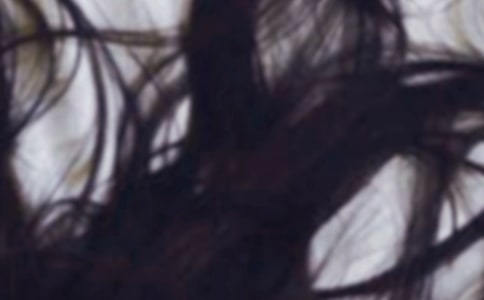 ʲô�����ʺ�ͷ��ë��