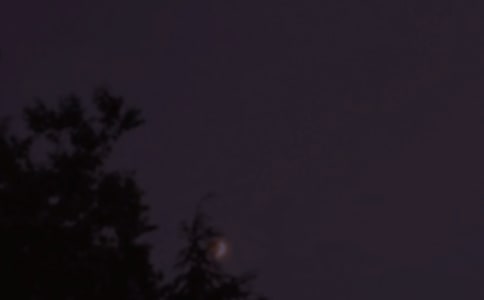 2023年常用温暖的晚安问候语摘录40句