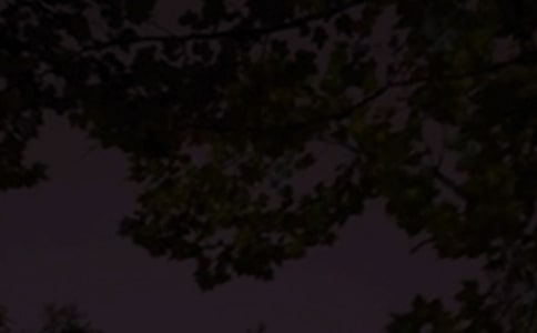 ��̵�����������QQ�ʺ���41��