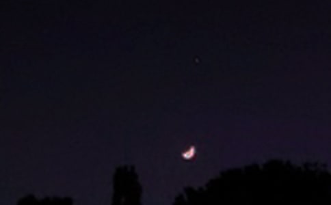 ��ѡΨ������������Ȧ�ʺ���33��