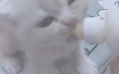 ��������������θ�����ι��