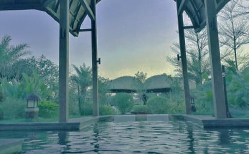 ȥ����Ȫ������