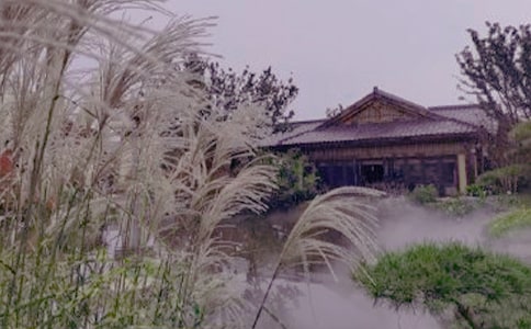 ��������Ȫ���ռ�300�֣���ѡ54ƪ��