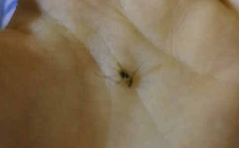 ���˵���������5ƪ����ѡ��