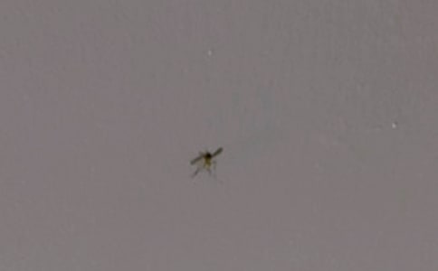 �������������[����]