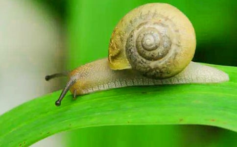 ������ţ��־�ľ��ӣ�ͨ��170�䣩