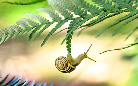 ����ţ�����񡷽̰�����ѡ12ƪ��