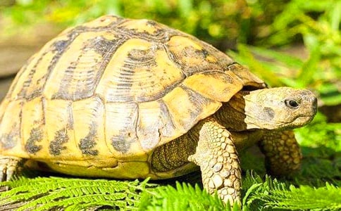 �����ڹ������