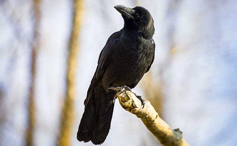 ������ѻ��ˮ�Ĺ���