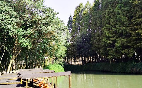 �������ζ����