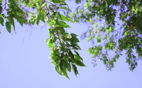 ����Ψ���簲�İ�����ѡ30�䣩