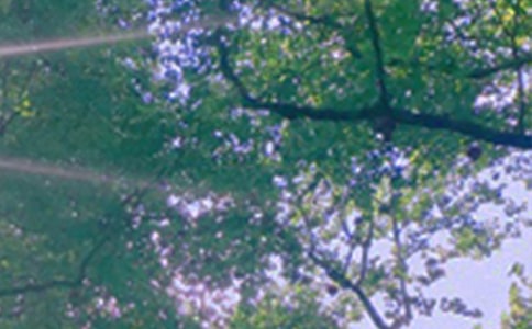 Ψ���簲�İ�90��