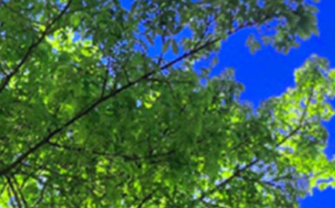 ���������簲�İ�����ѡ70�䣩