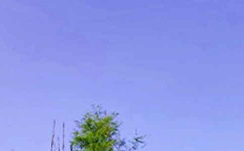 Ψ���簲�İ���ȫ60��