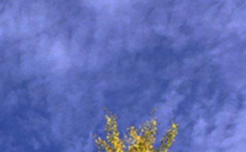 �����������簲�İ���ͨ��30�䣩